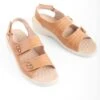 Tan Ankle Strap Sandal -Casual Outfits Store 60245pvl 79ccbfc95ea146d